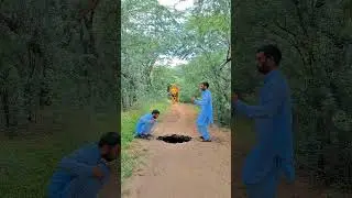 Vfx magic funny video  lion king Attack 🥱😱