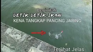 Beginilah Detik detik Tertangkapnya Ikan Pakai Pancing Jaring (spring bom net)