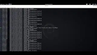 Flash Browser Exploit 2017