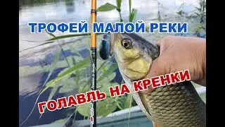ТРОФЕЙ МАЛОЙ РЕКИ. Ловля голавля на Кренки ТцуЙоки