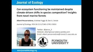 Albert Pessarrodona - Can marine ecosystem functioning be maintained under climate change?