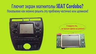 The SEAT Cordoba radio has a glitchy screen and the buttons don't work.