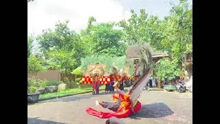 Barongan harimo kuncoro Aksi 5 reog live maguan