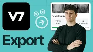 How to Create and Pull Export Versions in V7 | Tutorial