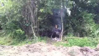 Burning Bee Hive
