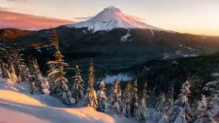 Ross Lara. Winter's White Gold