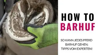 So kann jedes Pferd Barhuf laufen!