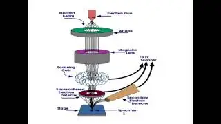 FE Physics SEM