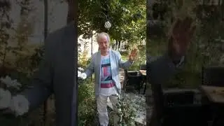 Константин Кедров "В окруженье умеренно вянущих роз"