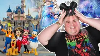 The Shocking Truth About Disneyland Weight Limits