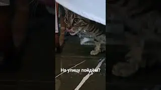 озвучка ржака