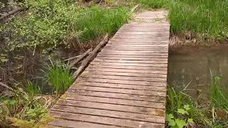 Das Aus für den Biberlehrpfad im Siebenbrunn