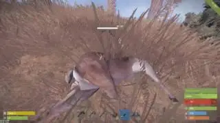 Rust - How to get XP/Level fast!! Part 1/4