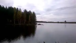 Леневский пруд. На север от Режа.
