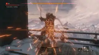 Sekiro: Shadows Die Twice - Genichiro Ashina Fight