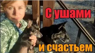 Мама сама строит дом》Рум тур》Погостили, приехали домой, а там....