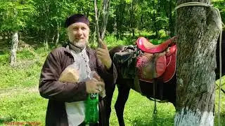 Конный поход с Подписчиками в Лес. Лошади, Туман, Горы , Лес.