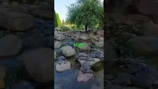 Город Зеленоград