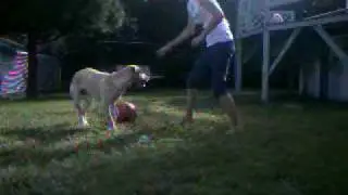 Mika et Moi en Freestyle