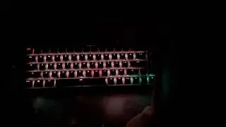 Fnatic Steak 65 LP Keyboard RGB #rgb #pc #pcgaming #gaming #eldenring #customkeyboard #razer #typing