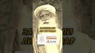 Най-прекрасният човек в живота ви #садхгуру #осъзнатост #shorts