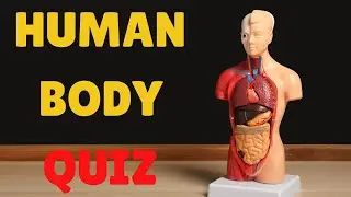 How Much Do You Know About the 