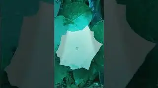 А весна пришла.ХВАТИТ сердцу-💓-плакать! /"Роза белая"/.
