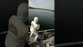 GIANT LURE catches MONSTER FISH? #shorts #musky