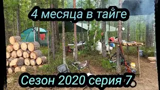 4 месяца в Тайге. Сезон 2020 серия 7. Жарим глухаря, последний хлеб, нашествие мошки.