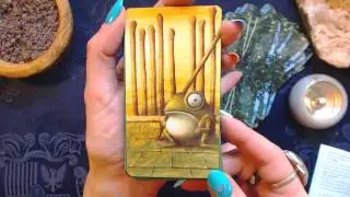 Tarot of the Magical Forest walk through and thoughts / My Tarot Diaries