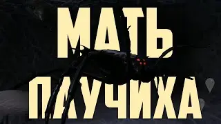 МАТЬ ПАУЧИХА 🍀 БОСС 🍀 GROUNDED