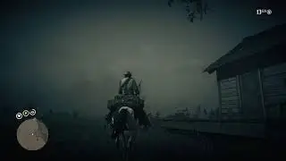 Stupid Bird Crashes into Building and I Steal Another Bird's Lunch in RDR2