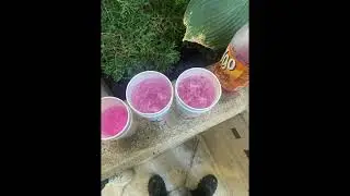 [FREE] Yn Jay x Detroit Sample Type Beat - 