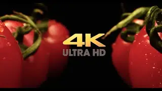 Cherry tomatoes super macro  - 4k hdr ultra video