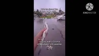 9 and a half minutes of Instagram memes I’m renting out