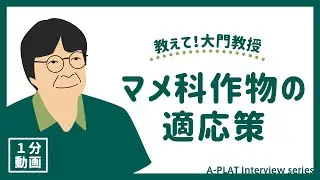 【適応策】マメ科作物
