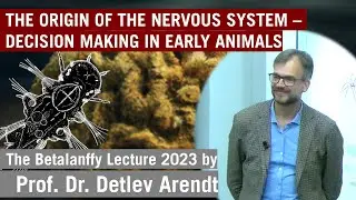 THE ORIGIN OF THE NERVOUS SYSTEM | Bertalanffy Lecture 2024 with Detlev Arendt (for students)