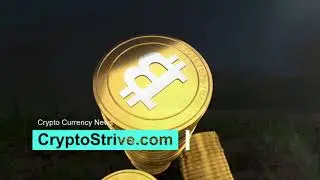 3 Best Upcoming Cryptocurrencies