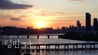[1시간/반복재생] 최충현 (화곡동 청개구리) - '텅빈 나'
