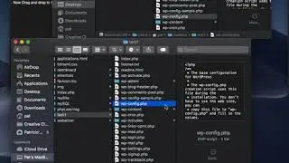 How to Install WordPress in XAMPP Mac