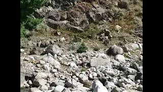 Kia Picanto Vehicle Durability Testing in Naran