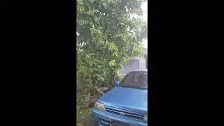 Hujan #shorts #youtubeshorts #shortsvideo