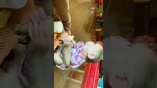 Yummy Boy#monkey #baby #shortvideo #love #cute