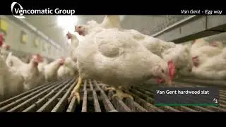 Vencomatic Group: Van Gent - Egg way