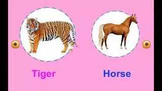 Hello Felix | CVL Unit 10 Wild animals - Learning english for kids