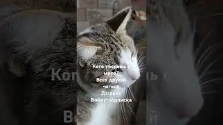 10 октября 2024 г.