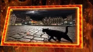 8 МАРТА.. международная женская НОЧЬ)))
