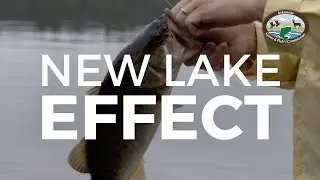 Bass Fishing on White Oak Lake