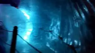 mer de glace ice cave 08.14