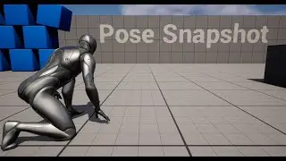 Unreal Engine 5: Pose Snapshot